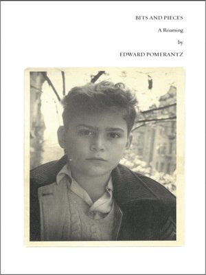 cover image of Bits and Pieces